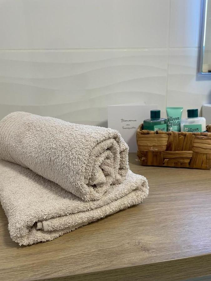 Le Tranquille - Calme - Parking Prive Apartment Ambilly Bagian luar foto