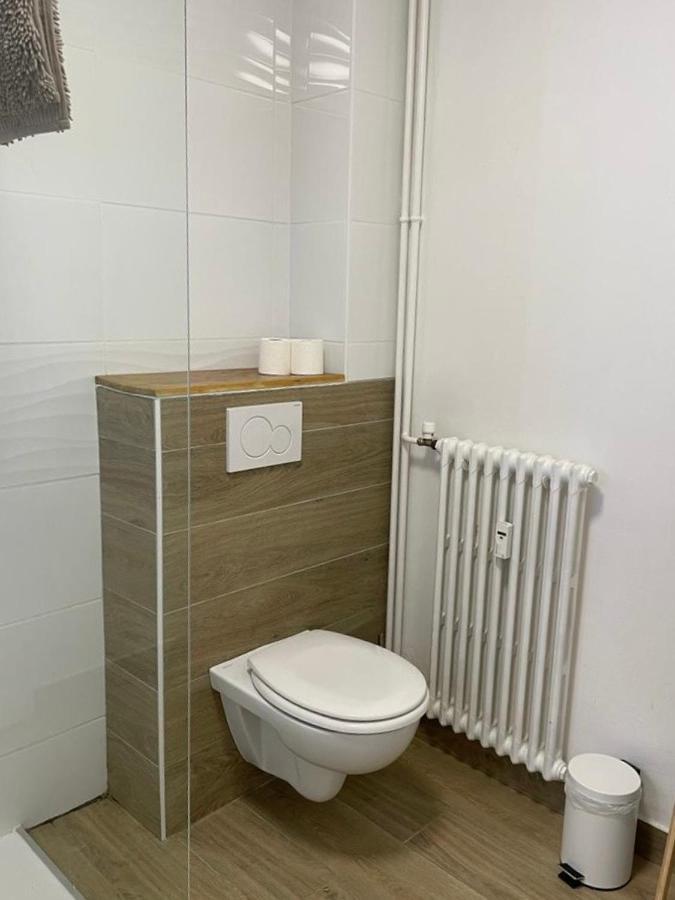 Le Tranquille - Calme - Parking Prive Apartment Ambilly Bagian luar foto
