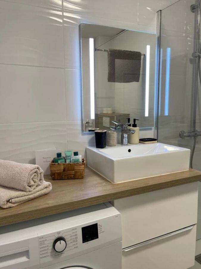 Le Tranquille - Calme - Parking Prive Apartment Ambilly Bagian luar foto